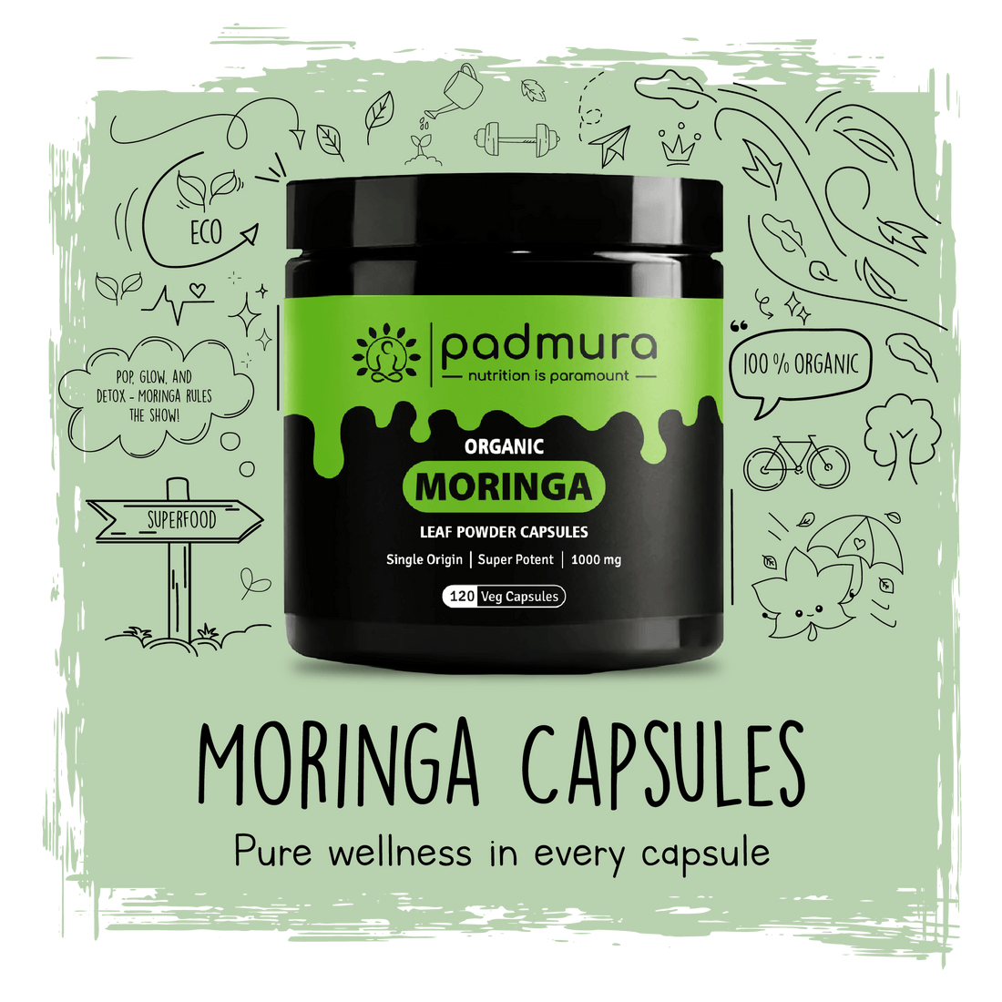 Moringa Marvel: The Miracle Tree's Nutritional Wonders Unveiled