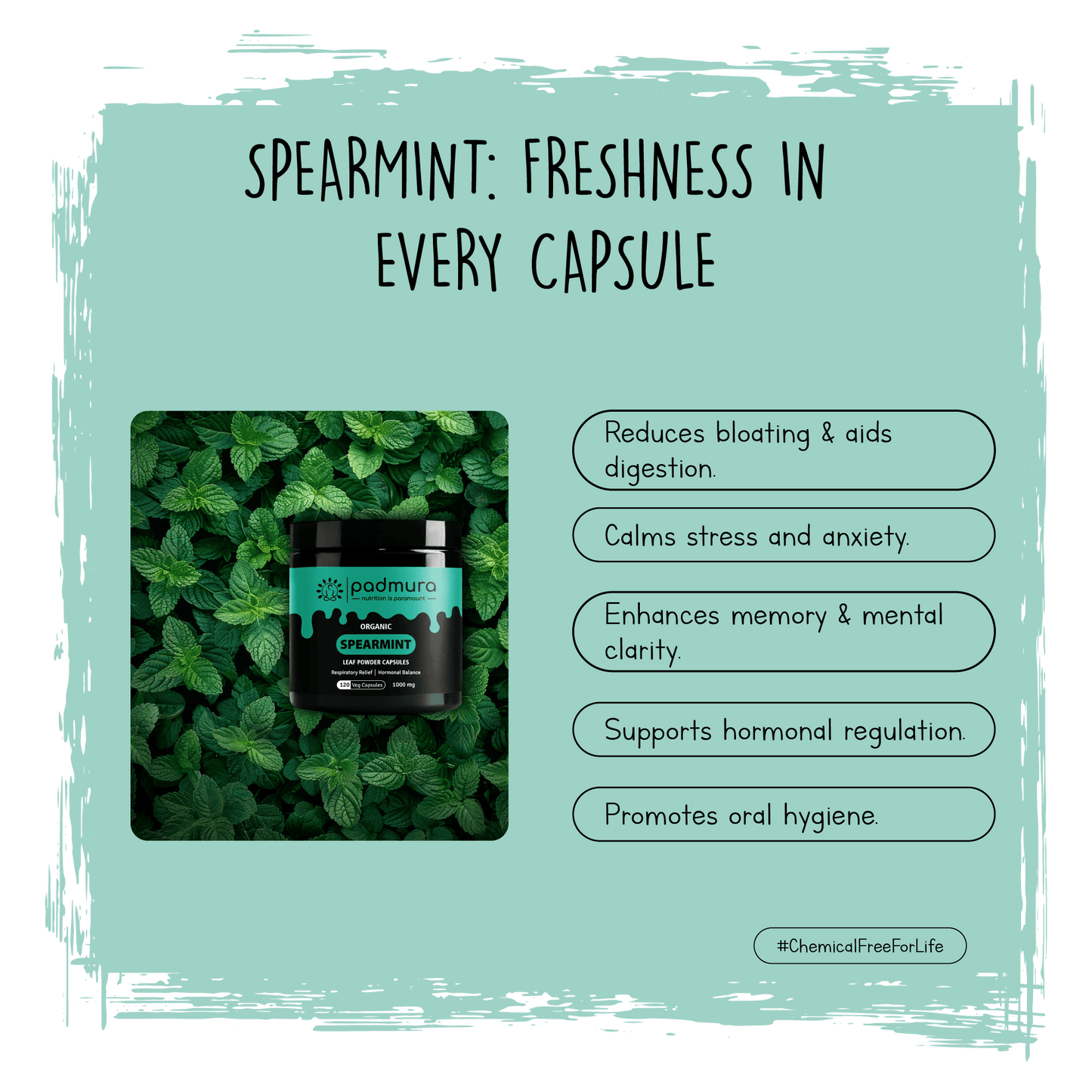 Spearmint